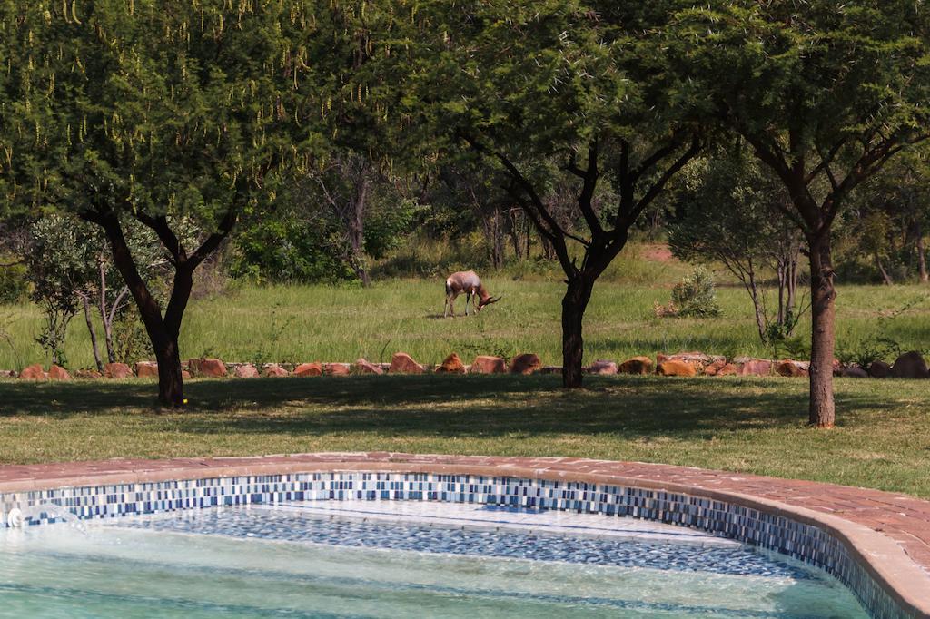 Birdsong Cottages Modimolle Luaran gambar