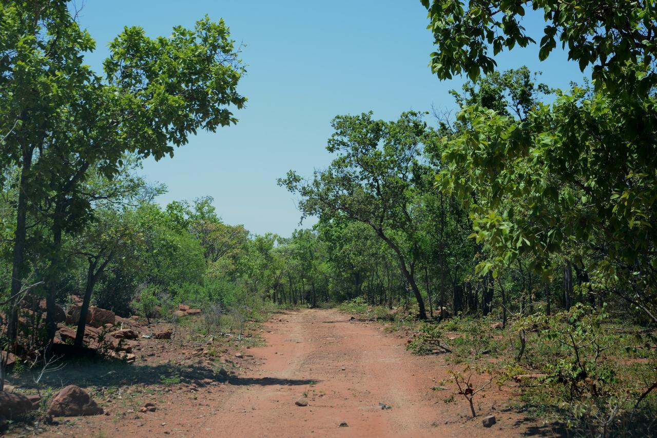 Birdsong Cottages Modimolle Luaran gambar